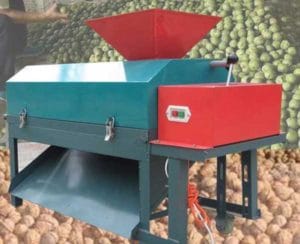 Automatic Green Walnut Peeling Machine