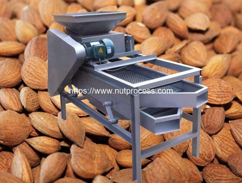Almond Slicer ,Almond Peel Remover Machine 